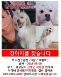 국내최대 반려동물무료분양 포털, 반려동물 분양, 애견, 고양이, 고슴도치, 햄스터, 토끼, 티컵강아지 무료분양 정보제공. 주세요닷컴