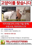 국내최대 반려동물무료분양 포털, 반려동물 분양, 애견, 고양이, 고슴도치, 햄스터, 토끼, 티컵강아지 무료분양 정보제공. 주세요닷컴