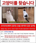 국내최대 반려동물무료분양 포털, 반려동물 분양, 애견, 고양이, 고슴도치, 햄스터, 토끼, 티컵강아지 무료분양 정보제공. 주세요닷컴