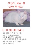 국내최대 반려동물무료분양 포털, 반려동물 분양, 애견, 고양이, 고슴도치, 햄스터, 토끼, 티컵강아지 무료분양 정보제공. 주세요닷컴