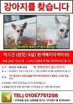 국내최대 반려동물무료분양 포털, 반려동물 분양, 애견, 고양이, 고슴도치, 햄스터, 토끼, 티컵강아지 무료분양 정보제공. 주세요닷컴