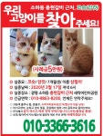 국내최대 반려동물무료분양 포털, 반려동물 분양, 애견, 고양이, 고슴도치, 햄스터, 토끼, 티컵강아지 무료분양 정보제공. 주세요닷컴