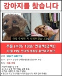 국내최대 반려동물무료분양 포털, 반려동물 분양, 애견, 고양이, 고슴도치, 햄스터, 토끼, 티컵강아지 무료분양 정보제공. 주세요닷컴