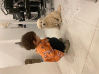 국내최대 반려동물무료분양 포털, 반려동물 분양, 애견, 고양이, 고슴도치, 햄스터, 토끼, 유기견, 티컵강아지 무료분양 정보제공. 주세요닷컴... 