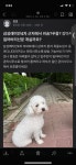 국내최대 반려동물무료분양 포털, 반려동물 분양, 애견, 고양이, 고슴도치, 햄스터, 토끼, 유기견, 티컵강아지 무료분양 정보제공. 주세요닷컴... 