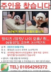 국내최대 반려동물무료분양 포털, 반려동물 분양, 애견, 고양이, 고슴도치, 햄스터, 토끼, 티컵강아지 무료분양 정보제공. 주세요닷컴... 