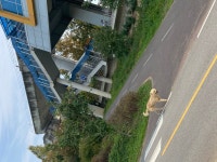 국내최대 반려동물무료분양 포털, 반려동물 분양, 애견, 고양이, 고슴도치, 햄스터, 토끼, 유기견, 티컵강아지 무료분양 정보제공. 주세요닷컴... 