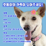 국내최대 반려동물무료분양 포털, 반려동물 분양, 애견, 고양이, 고슴도치, 햄스터, 토끼, 티컵강아지 무료분양 정보제공. 주세요닷컴... 