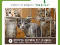 고양이무료분양 주세요닷컴 고양이무료분양 24페이지
