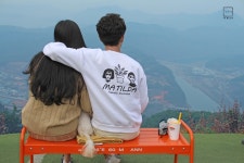 강아지무료분양 비숑프리제 입양,, 강아지무료분양포털 주세요닷컴 No483894