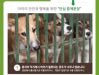 강아지무료분양 주세요닷컴 강아지무료분양 22페이지