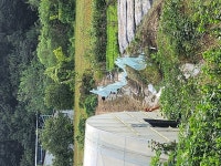 강아지무료분양 고양이무료분양 주세요닷컴