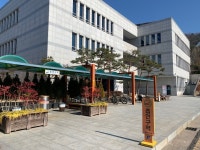 조선대학교 신문