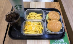 조선대학교 신문