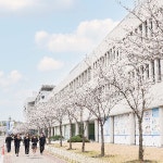 조선대학교