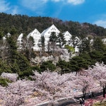 조선대학교
