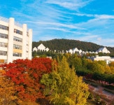 조선대학교
