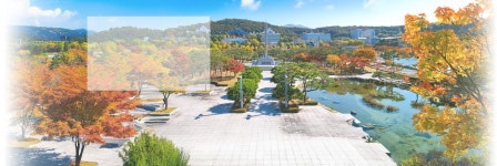 국제협력팀