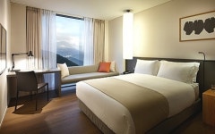 신라스테이 제주 | 야놀자