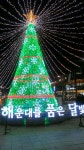 해운대 엘리하우스 게스트하우스 사진, 가격, 위치소개 | 야놀자