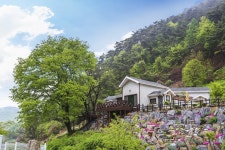 단양 풀꽃나무펜션