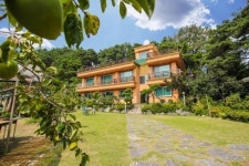 강릉 황토와솔내음펜션