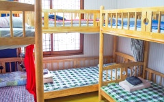 제주 돌돌 게스트하우스 여자도미+체험서핑 | 글로벌 여가 플랫폼 | 야놀자 공식 사이트