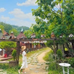 유럽감성 폭발하는 홍천 양떼목장 | 글로벌 여가 플랫폼 | 야놀자 공식 사이트