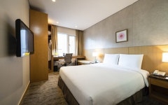 스탠포드 호텔 서울 스탠다드 더블+ 소호조식2인 | 대한민국 최저가 종합숙박 예약 | 야놀자 공식 모바일 사이트