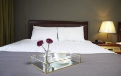 펄호텔 제주 스탠다드 더블 | 글로벌 여가 플랫폼 | 야놀자 공식 사이트