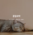 안동 수산궁 태화점 - 트리플 숙소