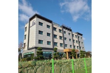 제주 게스트하우스파티 나이스 캣