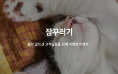 창원 봉곡동 세븐 잠꾸러기 | 글로벌 여가 플랫폼 | 야놀자 공식 사이트