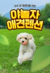 애견 펜션/풀빌라 | 야놀자