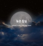투어앤스파 부산 정관 호텔라움 투어앤스파