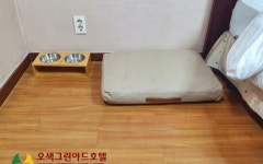 오색그린야드호텔 펫룸★이그제큐티브 스위트 호텔 | 글로벌 여가 플랫폼 | 야놀자 공식 사이트
