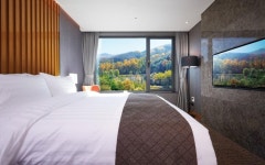 정선 인투라온 호텔 슈페리어더블 | 글로벌 여가 플랫폼 | 야놀자 공식 사이트