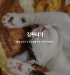 진주 호텔 해비치 데일리호텔 - 호텔&레스토랑 할인예약
