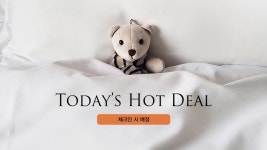 투어앤스파 신라스테이 역삼 투어앤스파