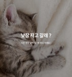 구미 봉곡동 HOTEL 컨티뉴 구미점 데일리호텔 - 호텔&레스토랑 할인예약
