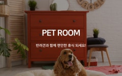부산 광안리 오션 더 포인트 호텔 Pet Room Ocean | 글로벌 여가 플랫폼 | 야놀자 공식 사이트