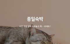부산 서면 호텔 하이든(HOTEL HAYDN) 오픈특가 - 26H 숙박 | 글로벌 여가 플랫폼 | 야놀자 공식 사이트
