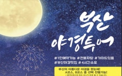 이비스 앰배서더 부산 시티센터 스탠다드 트윈 | 글로벌 여가 플랫폼 | 야놀자 공식 사이트