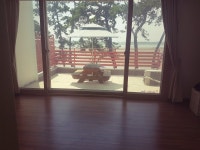 무안 톱머리리조트펜션 데일리호텔 - 호텔&레스토랑 할인예약