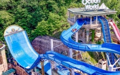 소노벨 비발디파크 D (구 메이플) 패밀리 | 글로벌 여가 플랫폼 | 야놀자 공식 사이트