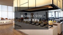투어앤스파 신라스테이 제주 투어앤스파