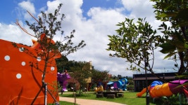 흰수염고래 리조트 - 트리플 숙소