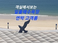 투어앤스파 보령(대천) BON 가야 HOTEL 투어앤스파