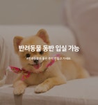 투어앤스파 시흥 넘버25 거북섬점 투어앤스파