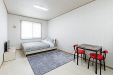 유채꽃길에 머문시간 펜션 - 트리플 숙소